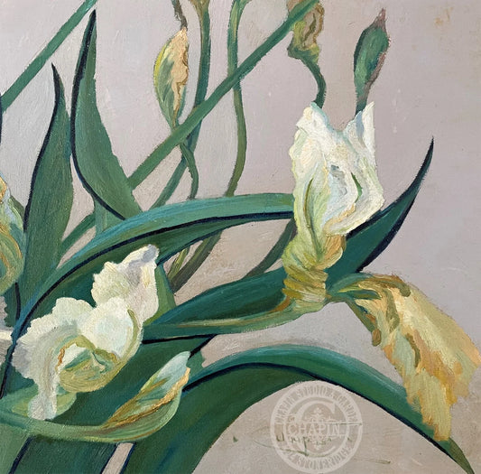 An oil painting of white iris flowers with green leaves on a textured lavendar gray background.