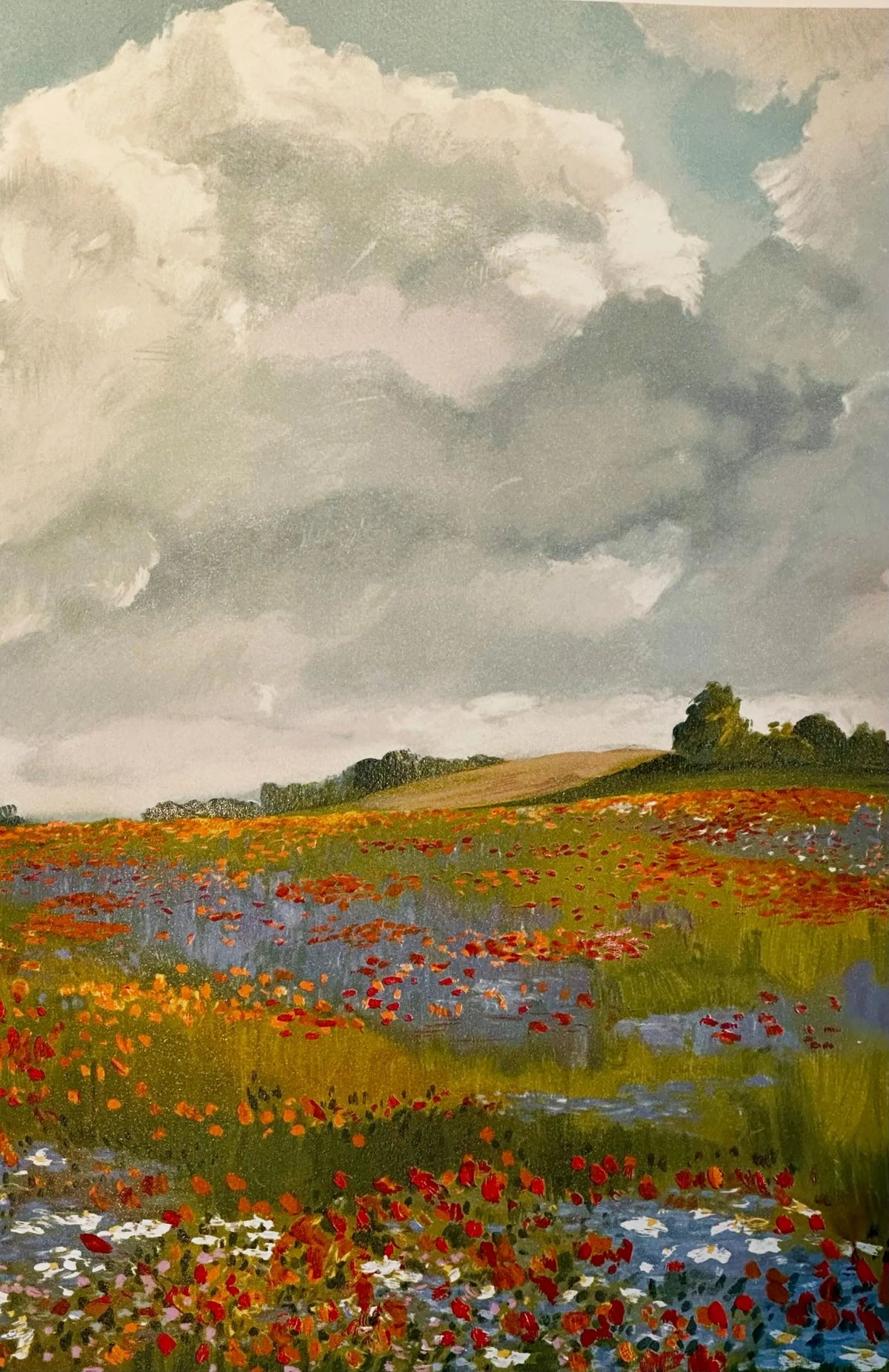 Original Poppies and Cornflowers Lithograph Print - French Floral Art