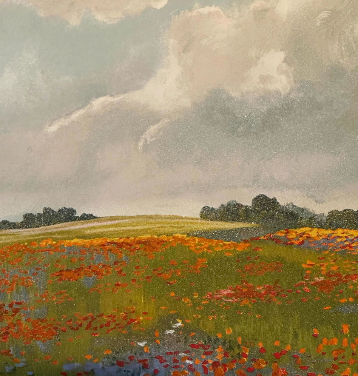Closeup of Poppies and Cornflowers by Chapin