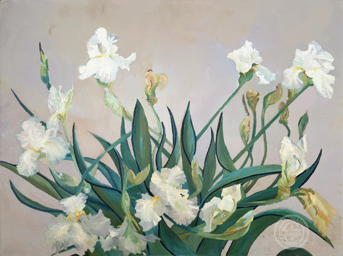 An oil painting of white irises with green leaves and stems, set against a soft lavendar gray & ochre background.