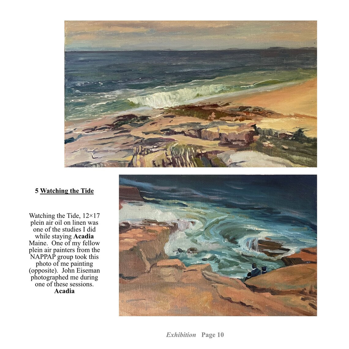 Earth Sea Sky Art Book, Deborah Chapin Paintings, Exhibition Catalog