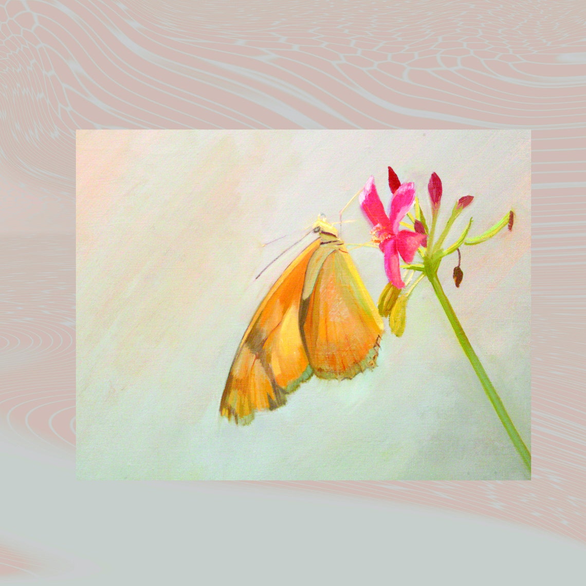 Smithsonian Butterflies Art Book by Deborah Chapin (Paperback)